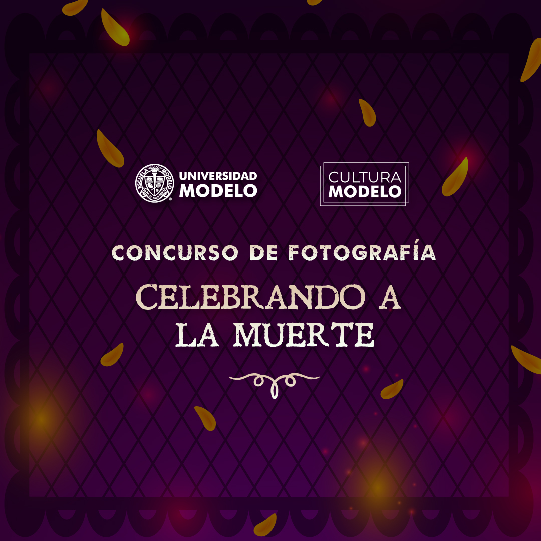 Concurso de fotografía: 